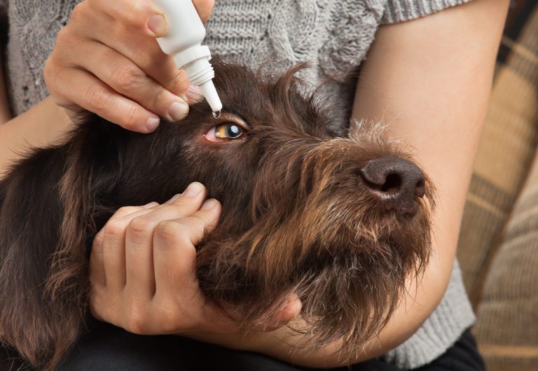 Akut sygdom eller tilskadekomst